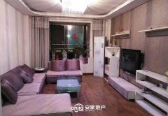民权租房,房源信息与价格趋势分析”