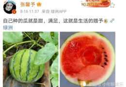 娱乐圈吃瓜料,揭秘明星幕后真相与争议风云