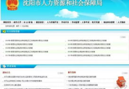 沈阳养老保险查询中心,一站式服务，便捷了解您的养老保障”