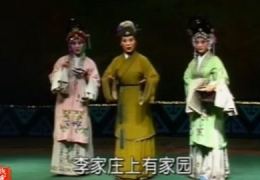 豫剧刘庸下南京,清官刘庸的正义之路与民间传奇