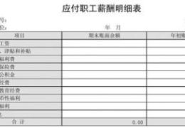 发放工资会计分录,企业发放工资的会计分录操作指南
