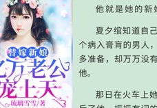 夏天周婉秋免费阅读,都市传奇，免费阅读，情感纠葛与王者归来