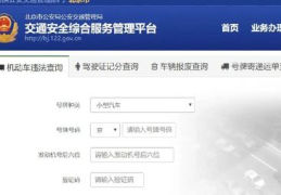 查询车辆违章查询,车辆违章查询攻略，助您轻松掌握行车安全”