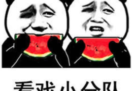 娱乐吃瓜表情包,笑料横生！