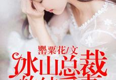 我的冰山总裁老婆全本免费阅读全文,一段都市传奇的爱情冒险